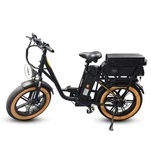 Xe đạp điện lốp đường Fat